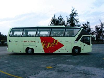 Wuzhoulong  FDG6126A coach