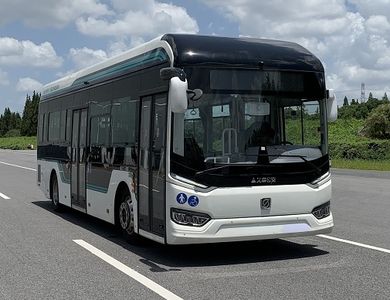 Shenwo  SWB6109EV10G Pure electric low floor city buses