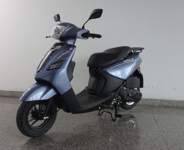 Qianjiang  QJ110T8D Two wheeled motorcycles