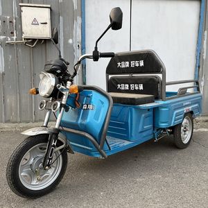 Senxiang SX1000DZH2Electric tricycle