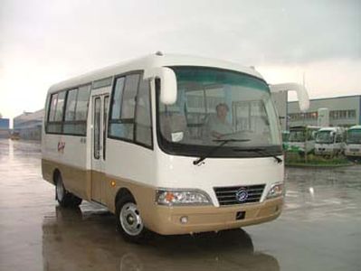 Feiyan  SDL6594 coach