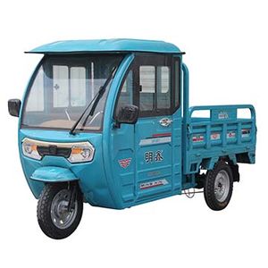 Mingxin  MX1500DZH3 Electric tricycle