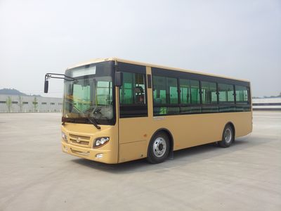 Wuzhoulong  WZL6891NGT4 City buses