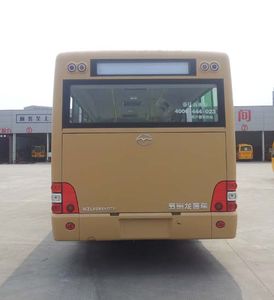 Wuzhoulong  WZL6891NGT4 City buses