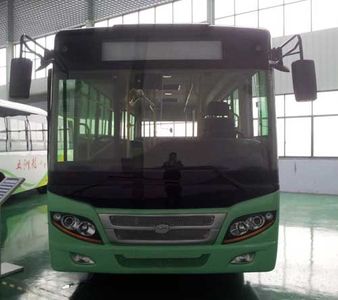 Wuzhoulong  WZL6891NGT4 City buses