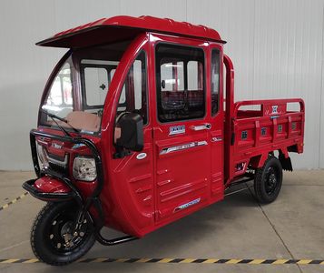 Xinguang Jiayun  XZ1500DZHB Electric tricycle