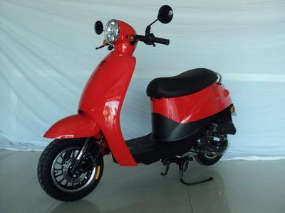 Feiling  FL70T41 Two wheeled motorcycles