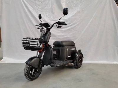 Shenzhou Fuxing  FX500DQZ2 Electric three wheeled light motorcycle