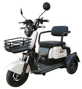 Emma  AM400DQZ10N Electric three wheeled light motorcycle