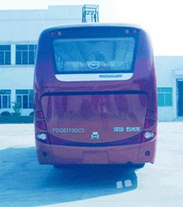 Wuzhoulong  FDG6110DC3 coach