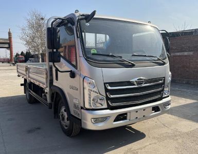 Foton  BJ1046V9JBA01 Truck