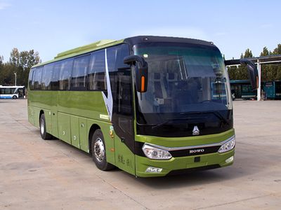 Haowo  ZZ6115H5QA coach