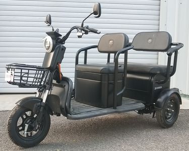 Five Star Diamond Leopard ZB1000DZK Electric tricycle