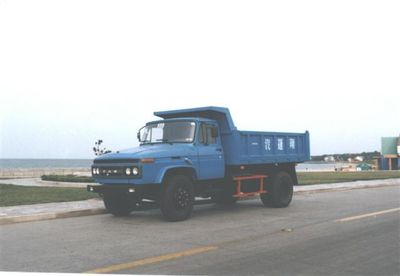 Pengxiang  SDG3101 Dump truck