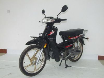 Dayang  DY100C Two wheeled motorcycles