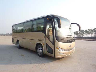 Heke  HK6879H coach