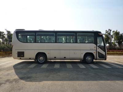 Heke  HK6879H coach