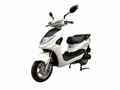 Tailing  TL600DQT38C Electric two wheeled light motorcycle