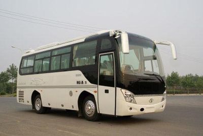 Shaolin  SLG6810T5ER coach