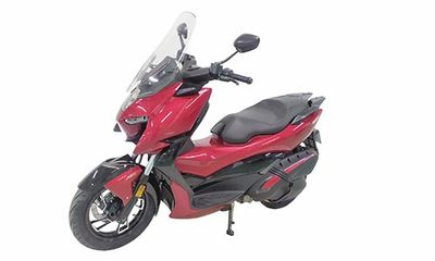 Shengshi  ZT300TM Two wheeled motorcycles