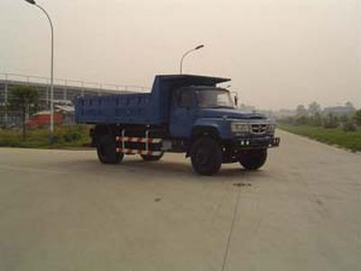 Ace car CDW3120N4G Dump truck