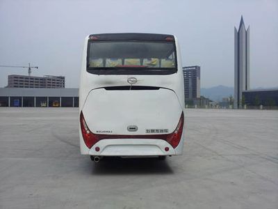 Wuzhoulong  WZL6890A4 coach