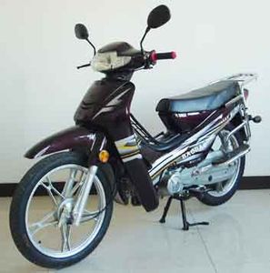 Baodao  BD110 Two wheeled motorcycles