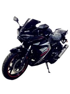 Pengcheng  PC15018 Two wheeled motorcycles