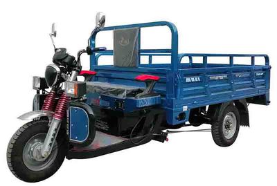 Fengshou  FS2500DZH11 Electric tricycle