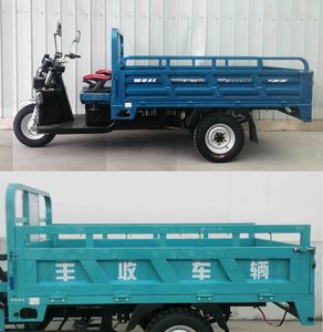 Fengshou  FS2500DZH11 Electric tricycle