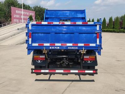 Shifeng  SSF3046DDP43C1 Dump truck