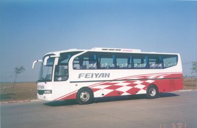 Feiyan  SDL6110ZBFB Large luxury tourist buses