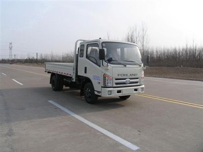 Foton  BJ1033V3PEAH Truck