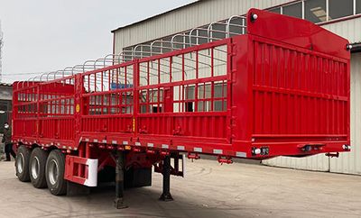 Jinxin Yunchi BYC9401CCYEGantry transport semi-trailer