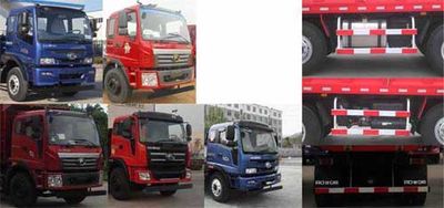 Foton  BJ3315DNPHC4 Dump truck