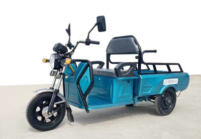 Oasis Camel  LZ1200DZHA Electric tricycle