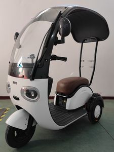 Sailit SLT1200DZK3 Electric tricycle