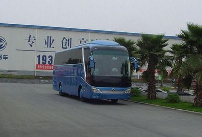 Hengtong Bus CKZ6117CHBEVA Pure electric passenger cars