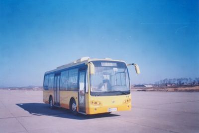 Huanghai  DD6890S08 City buses