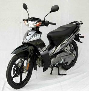 Linhai Yamaha  LYM1103 Two wheeled motorcycles