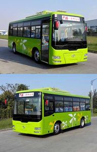 Shaolin  SLG6821EVG1 Pure electric city buses