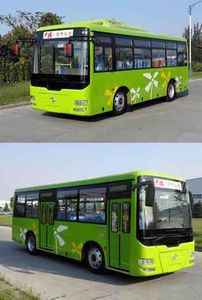 Shaolin  SLG6821EVG1 Pure electric city buses