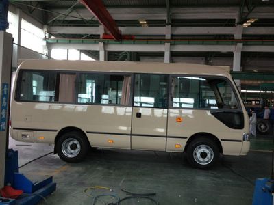 Wuzhoulong  FDG6602EV2 Pure electric passenger cars