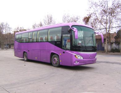 Shaanxi Automobile SX6102K coach