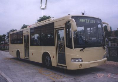 Giant Eagle  SJ6101CG City buses