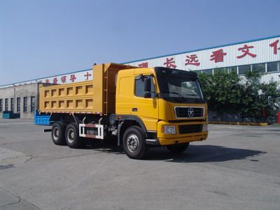 Dayun  DYX3251PA38WPD3C Dump truck