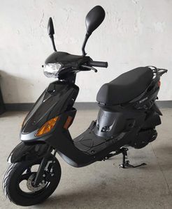 Xunlong  XL125T9S Two wheeled motorcycles