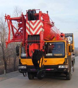 Sany  SYM5550JQZQY100 Car crane