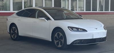 Dayun  CGC7000BEV2J9 Pure electric sedan