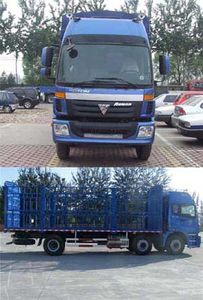 Foton  BJ5203VKCHPS4 Grate type transport vehicle